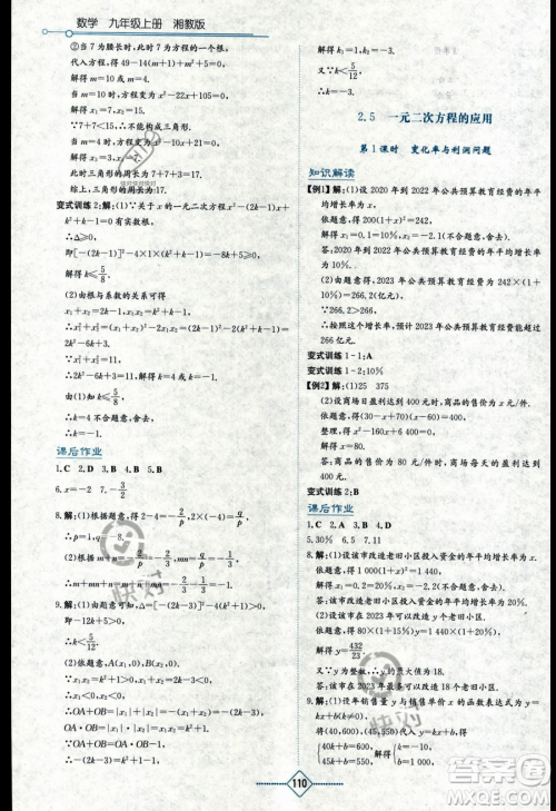 湖南教育出版社2023学法大视野九年级上册数学湘教版答案