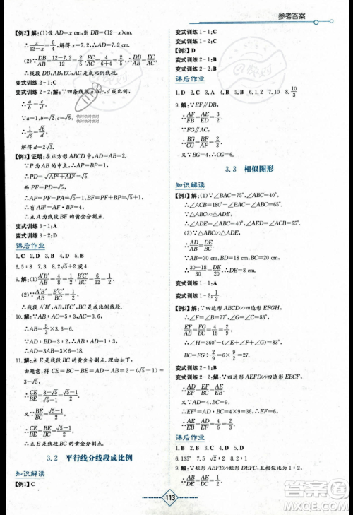 湖南教育出版社2023学法大视野九年级上册数学湘教版答案