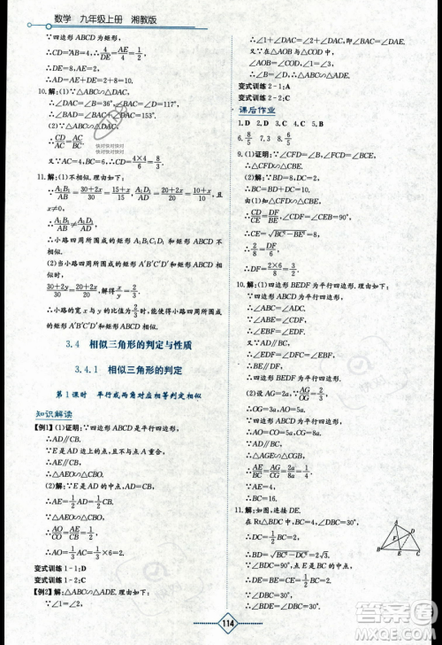 湖南教育出版社2023学法大视野九年级上册数学湘教版答案