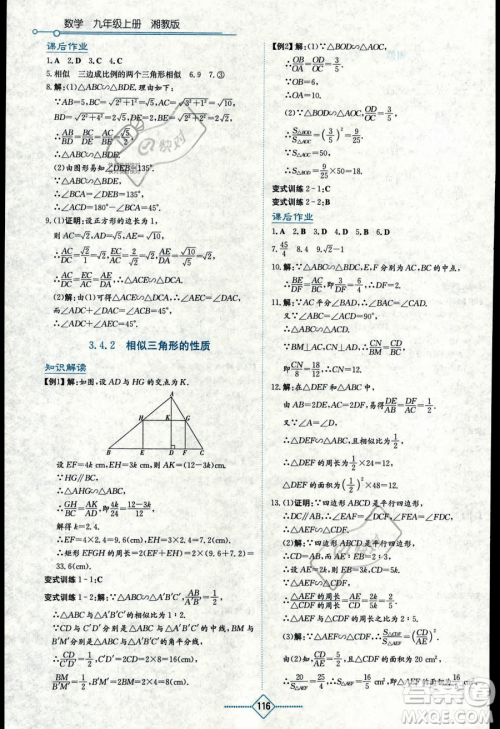 湖南教育出版社2023学法大视野九年级上册数学湘教版答案