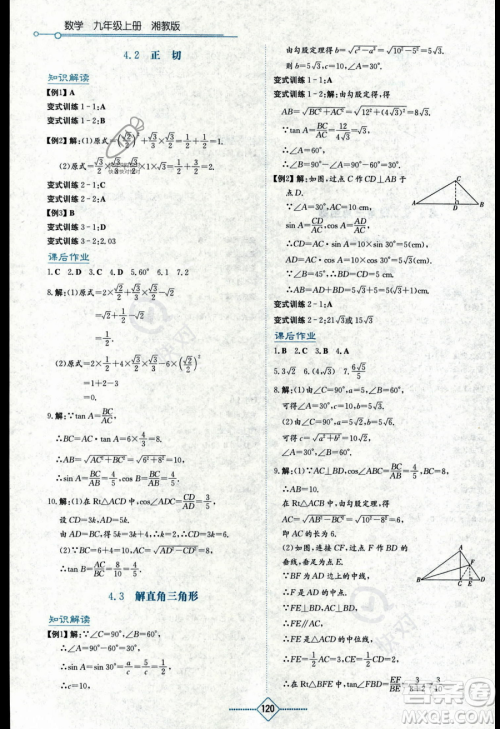 湖南教育出版社2023学法大视野九年级上册数学湘教版答案