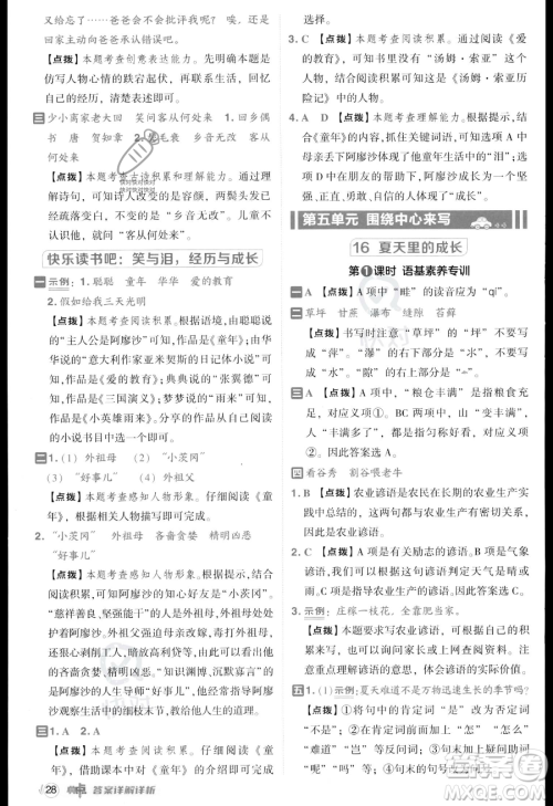吉林教育出版社2023综合应用创新题典中点六年级上册语文人教版答案 吉林教育出版社2023综合应用创新题典中点六年级上册语文人教版答案