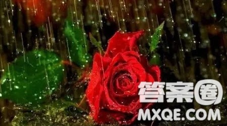 古诗词阅读的调味品材料作文800字 关于古诗词阅读的调味品的材料作文800字 古诗词阅读的调味品材料作文800字 关于古诗词阅读的调味品的材料作文800字