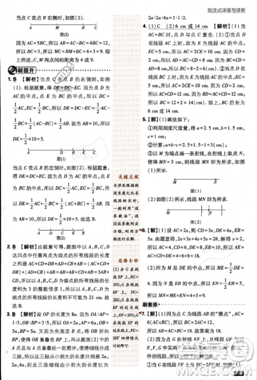 开明出版社2024届初中必刷题七年级上册数学北师大版答案