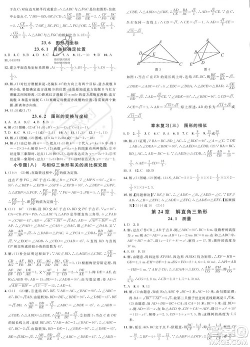 广东经济出版社2023名校课堂九年级上册数学华师版答案