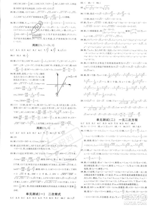 广东经济出版社2023名校课堂九年级上册数学华师版答案