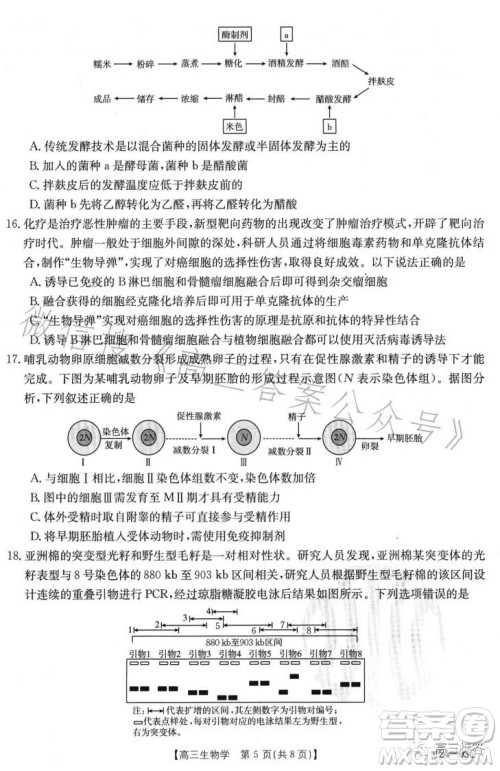 2024届高三金太阳8月联考24-03C生物试卷答案