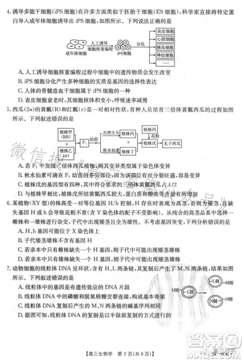 2024届高三金太阳8月联考24-03C生物试卷答案