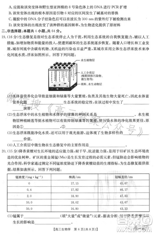 2024届高三金太阳8月联考24-03C生物试卷答案