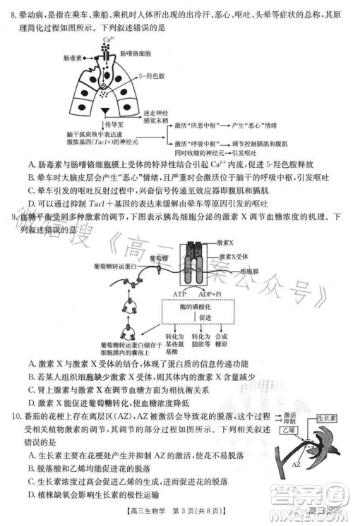 2024届高三金太阳8月联考24-03C生物试卷答案