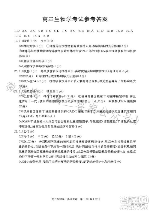 2024届高三金太阳8月联考24-03C生物试卷答案 2024届高三金太阳8月联考24-03C生物试卷答案
