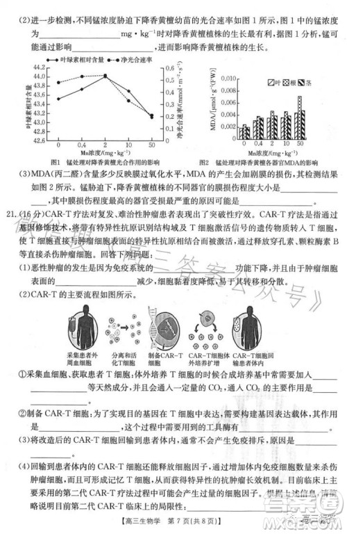 2024届高三金太阳8月联考24-03C生物试卷答案 2024届高三金太阳8月联考24-03C生物试卷答案