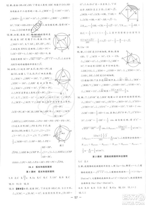 合肥工业大学出版社2023年秋季全频道课时作业九年级上册数学人教版答案
