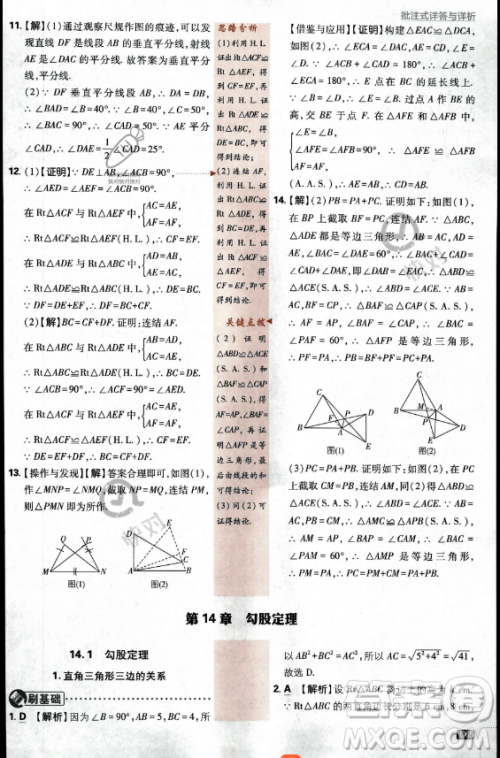 开明出版社2024届初中必刷题八年级上册数学华师版答案