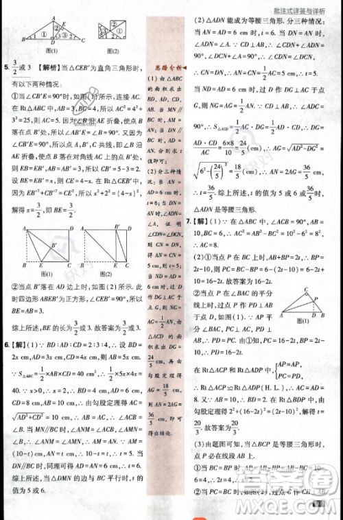 开明出版社2024届初中必刷题八年级上册数学华师版答案