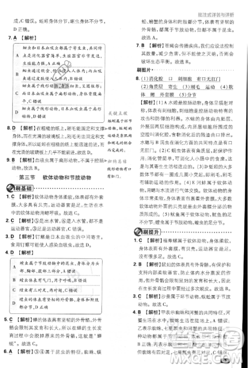 开明出版社2024届初中必刷题八年级上册生物人教版答案 开明出版社2024届初中必刷题八年级上册生物人教版答案