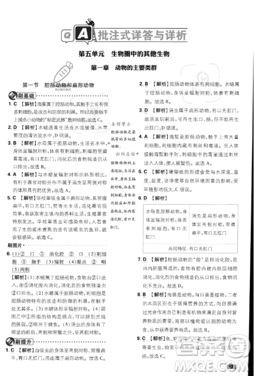 开明出版社2024届初中必刷题八年级上册生物人教版答案 开明出版社2024届初中必刷题八年级上册生物人教版答案