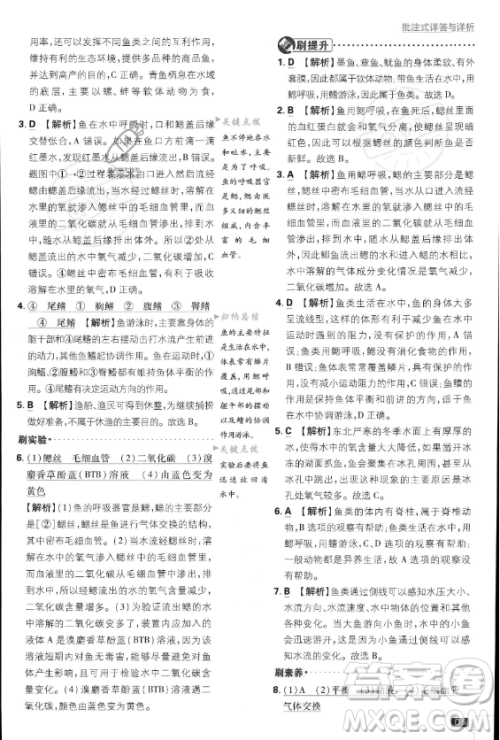 开明出版社2024届初中必刷题八年级上册生物人教版答案 开明出版社2024届初中必刷题八年级上册生物人教版答案