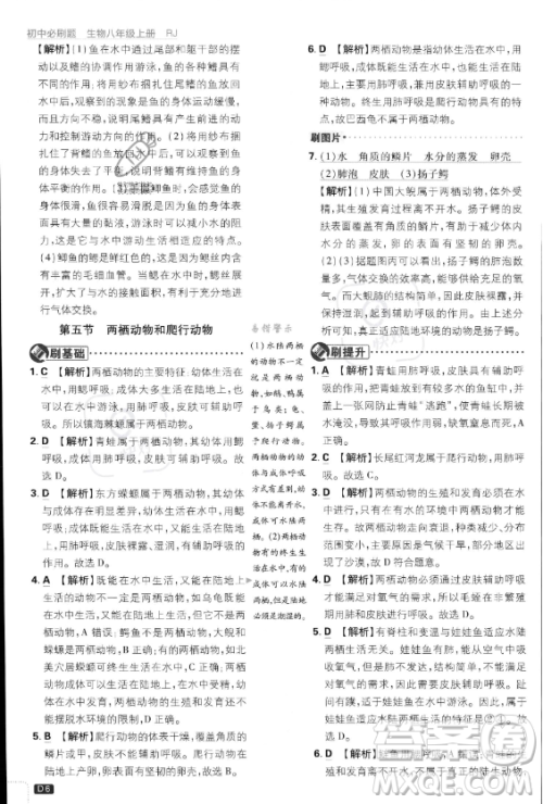 开明出版社2024届初中必刷题八年级上册生物人教版答案 开明出版社2024届初中必刷题八年级上册生物人教版答案