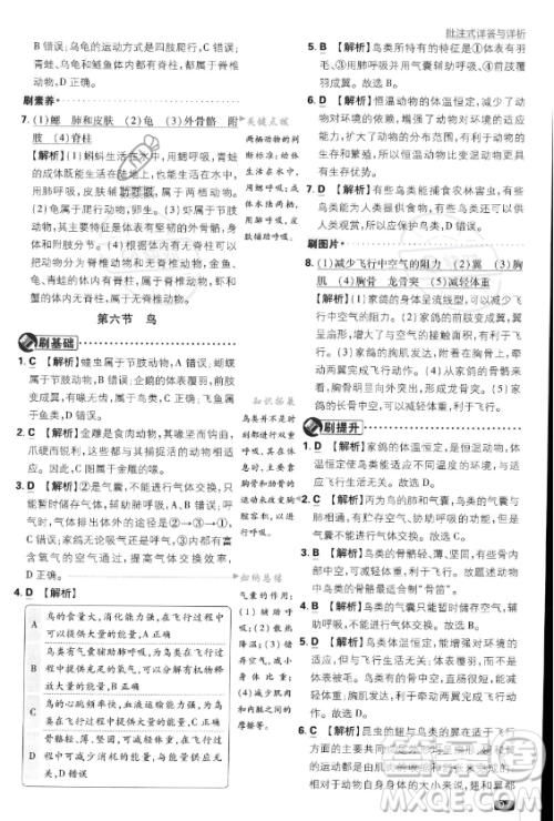 开明出版社2024届初中必刷题八年级上册生物人教版答案 开明出版社2024届初中必刷题八年级上册生物人教版答案