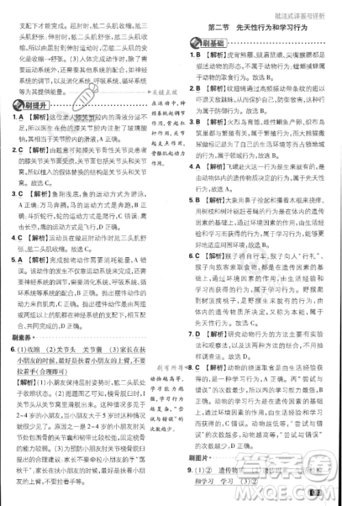 开明出版社2024届初中必刷题八年级上册生物人教版答案 开明出版社2024届初中必刷题八年级上册生物人教版答案