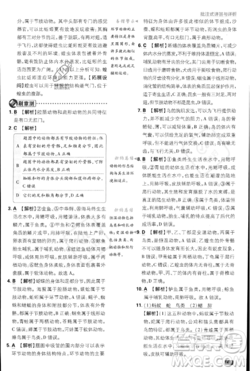 开明出版社2024届初中必刷题八年级上册生物人教版答案 开明出版社2024届初中必刷题八年级上册生物人教版答案