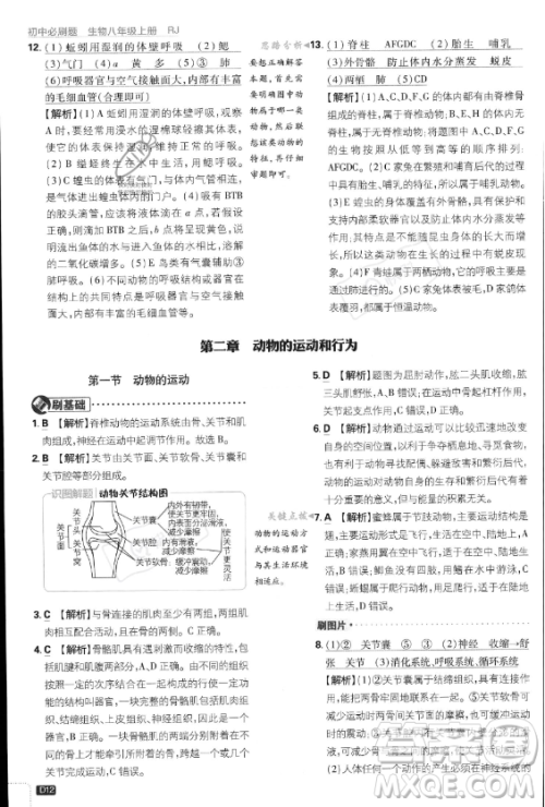 开明出版社2024届初中必刷题八年级上册生物人教版答案