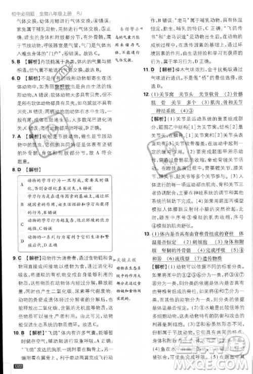 开明出版社2024届初中必刷题八年级上册生物人教版答案 开明出版社2024届初中必刷题八年级上册生物人教版答案