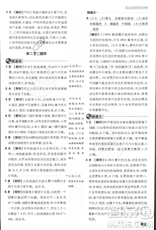 开明出版社2024届初中必刷题八年级上册生物人教版答案 开明出版社2024届初中必刷题八年级上册生物人教版答案