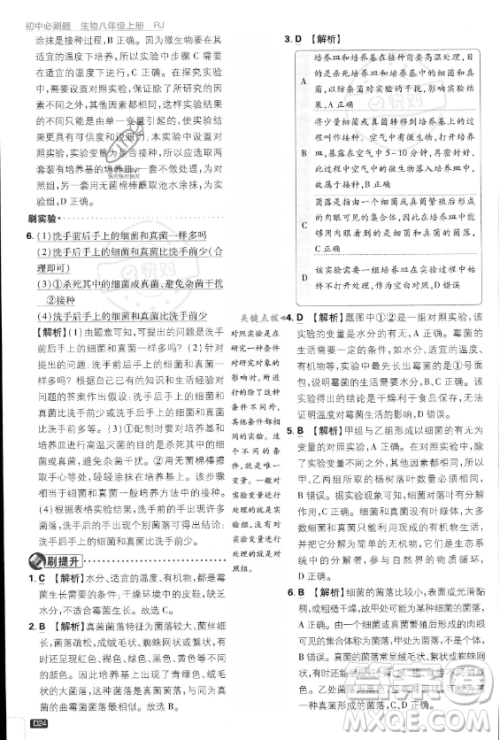 开明出版社2024届初中必刷题八年级上册生物人教版答案 开明出版社2024届初中必刷题八年级上册生物人教版答案