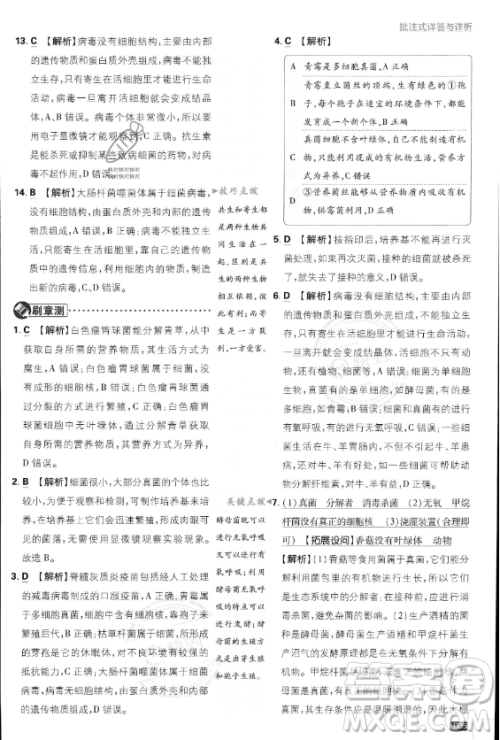 开明出版社2024届初中必刷题八年级上册生物人教版答案 开明出版社2024届初中必刷题八年级上册生物人教版答案