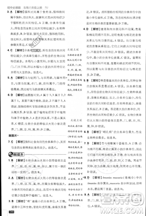 开明出版社2024届初中必刷题八年级上册生物人教版答案 开明出版社2024届初中必刷题八年级上册生物人教版答案