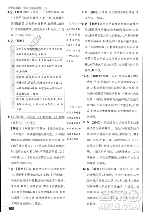 开明出版社2024届初中必刷题八年级上册生物人教版答案