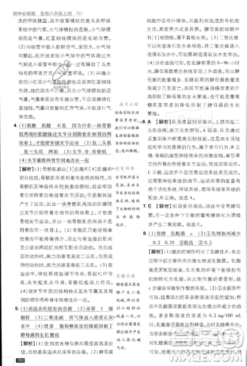 开明出版社2024届初中必刷题八年级上册生物人教版答案 开明出版社2024届初中必刷题八年级上册生物人教版答案