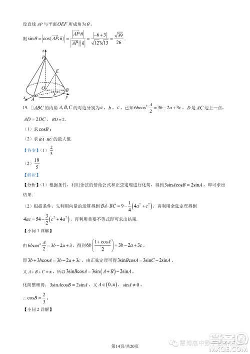 重庆市2024届高三上学期入学调研数学试题答案