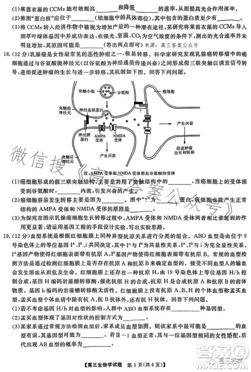 天壹名校联盟2024届高三入学摸底考试生物试卷答案 天壹名校联盟2024届高三入学摸底考试生物试卷答案