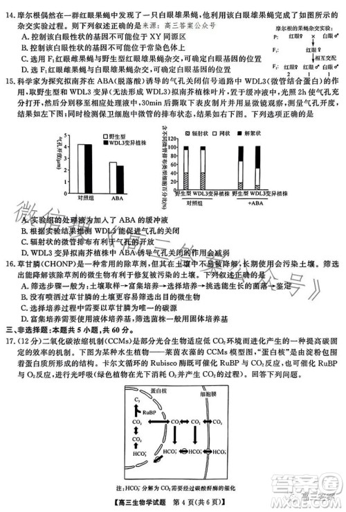 天壹名校联盟2024届高三入学摸底考试生物试卷答案 天壹名校联盟2024届高三入学摸底考试生物试卷答案
