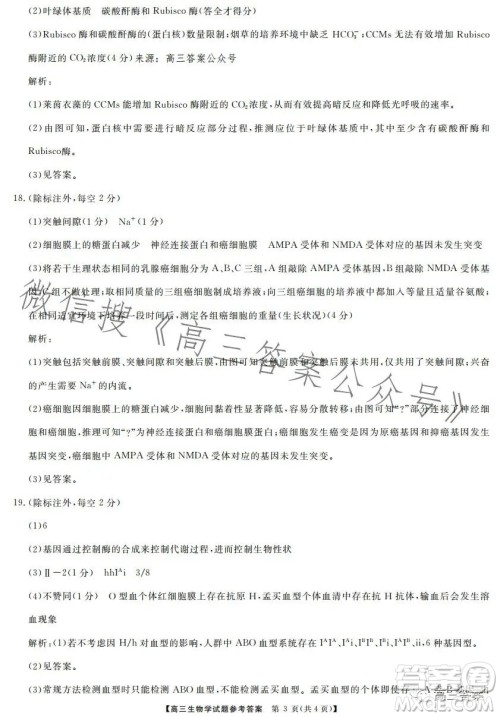 天壹名校联盟2024届高三入学摸底考试生物试卷答案 天壹名校联盟2024届高三入学摸底考试生物试卷答案