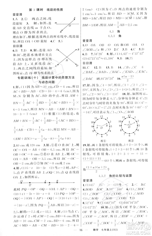 新疆青少年出版社2023年秋季四清导航七年级上册数学人教版河南专版答案