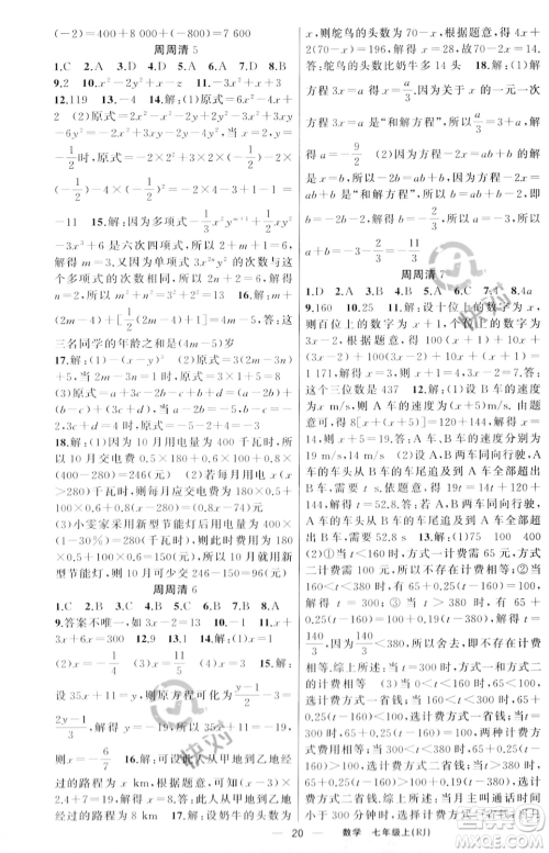新疆青少年出版社2023年秋季四清导航七年级上册数学人教版河南专版答案