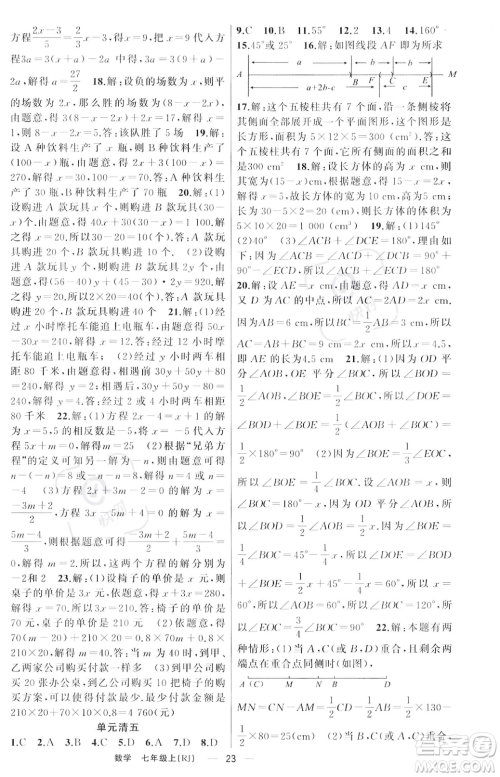 新疆青少年出版社2023年秋季四清导航七年级上册数学人教版河南专版答案