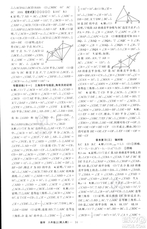 新疆青少年出版社2023年秋季四清导航八年级上册数学人教版答案