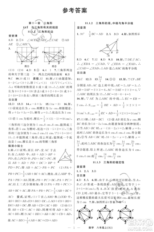 新疆青少年出版社2023年秋季四清导航八年级上册数学人教版河南专版答案