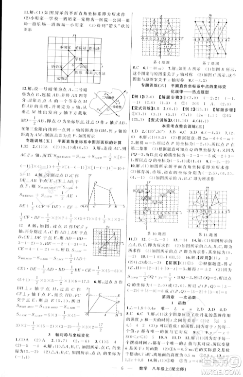 新疆青少年出版社2023年秋季四清导航八年级上册数学北师大版答案
