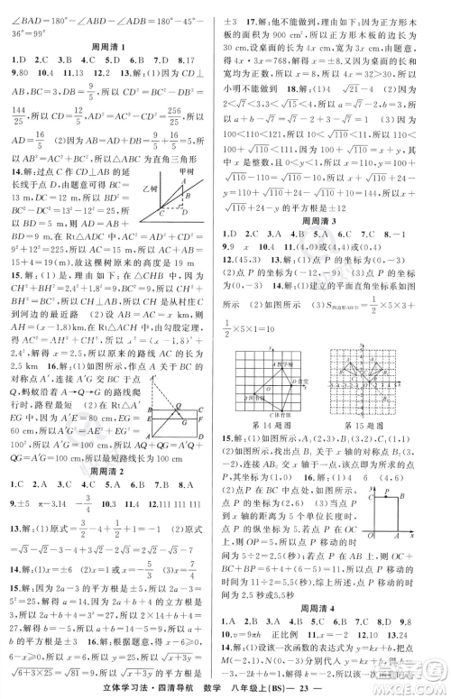 新疆青少年出版社2023年秋季四清导航八年级上册数学北师大版辽宁专版答案