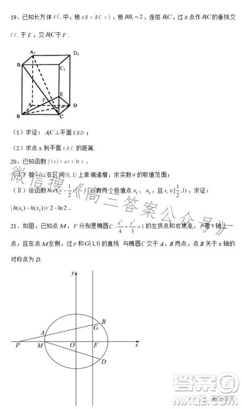 2023-2024学年河南省实验中学上期开学考试高三数学试卷文科答案