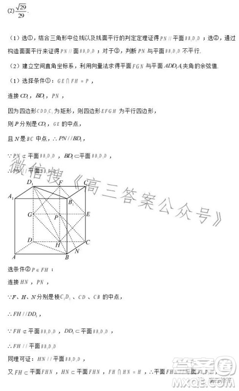 2023-2024学年河南省实验中学上期开学考试高三数学试卷理科答案