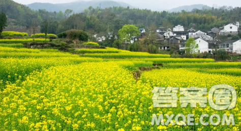 阳光在其中为题作文600字 关于阳光在其中为题目的作文600字 阳光在其中为题作文600字 关于阳光在其中为题目的作文600字