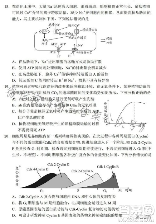 日照2021级高三上学期校际联合考试生物试卷答案