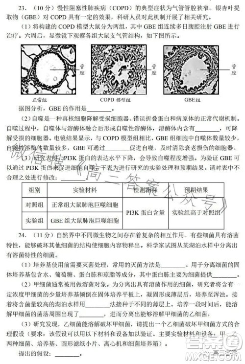 日照2021级高三上学期校际联合考试生物试卷答案